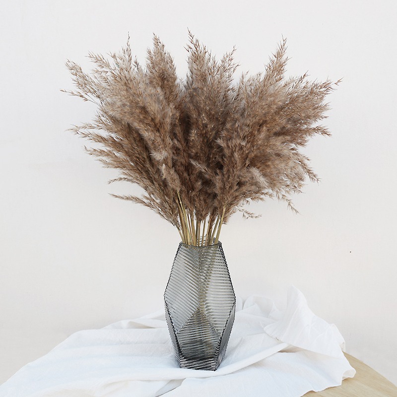 10 шт. разноцветных натуральны – обзор и цена Florist Supply Vases